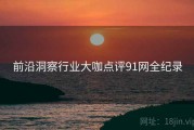 前沿洞察行业大咖点评91网全纪录