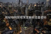 揭秘暗网禁地深度解析流量密码