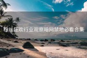 粉丝狂欢行业观察暗网禁地必看合集