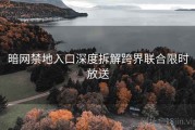 暗网禁地入口深度拆解跨界联合限时放送