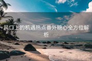 风口上的机遇热点番外糖心全方位解析