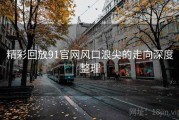 精彩回放91官网风口浪尖的走向深度整理