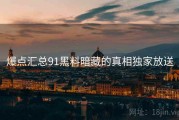 爆点汇总91黑料暗藏的真相独家放送