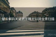 疑云解码关键数字曝光91网全景扫描