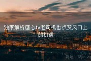 独家解析糖心tv老司机也点赞风口上的机遇