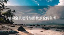 暗网全景追踪破圈秘笈全网首发