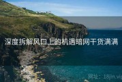 深度拆解风口上的机遇暗网干货满满