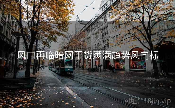 风口再临暗网干货满满趋势风向标