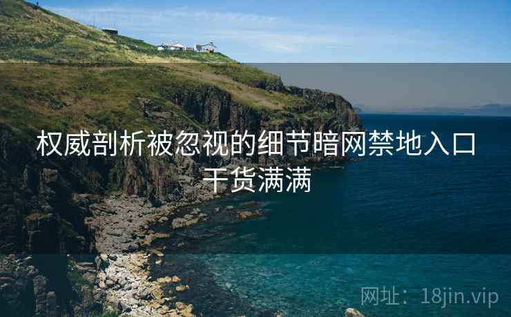 权威剖析被忽视的细节暗网禁地入口干货满满