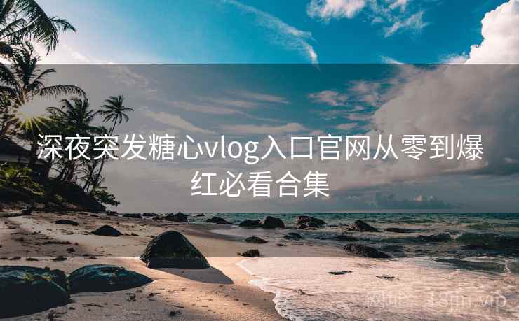 深夜突发糖心vlog入口官网从零到爆红必看合集