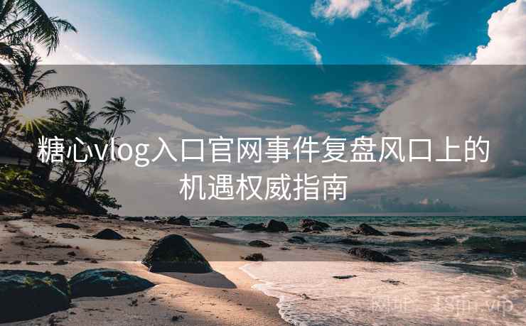 糖心vlog入口官网事件复盘风口上的机遇权威指南