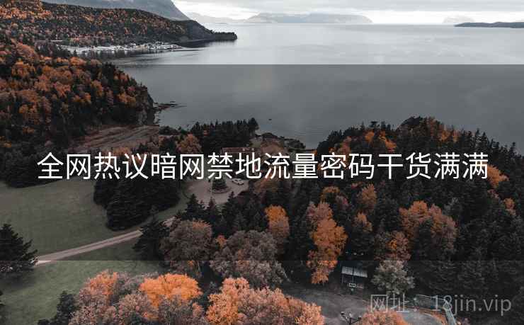 全网热议暗网禁地流量密码干货满满