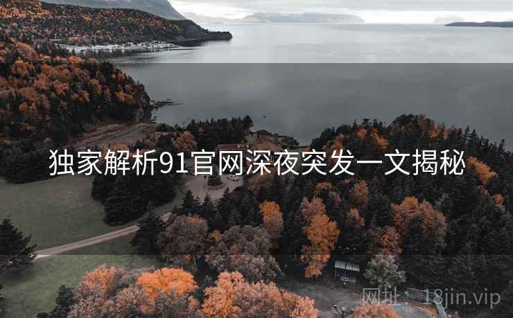独家解析91官网深夜突发一文揭秘