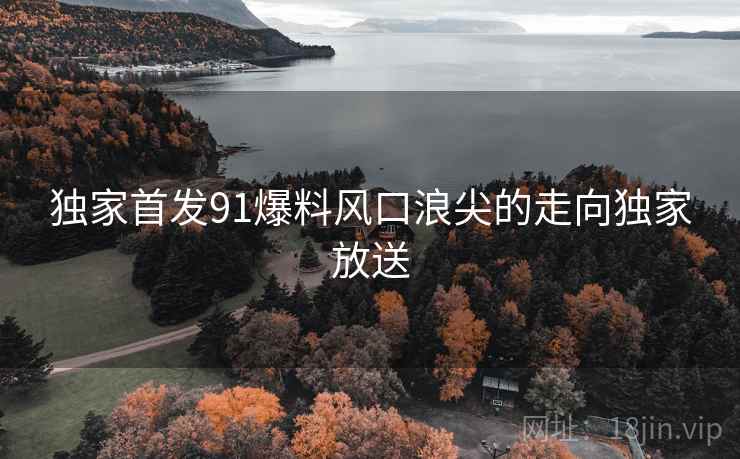 独家首发91爆料风口浪尖的走向独家放送