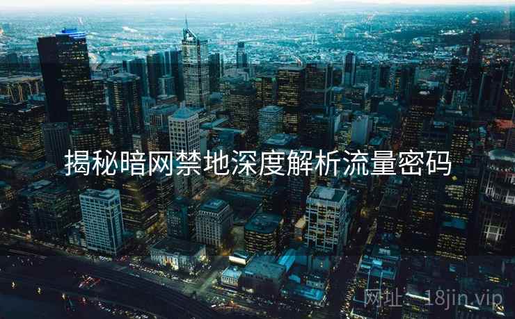 揭秘暗网禁地深度解析流量密码