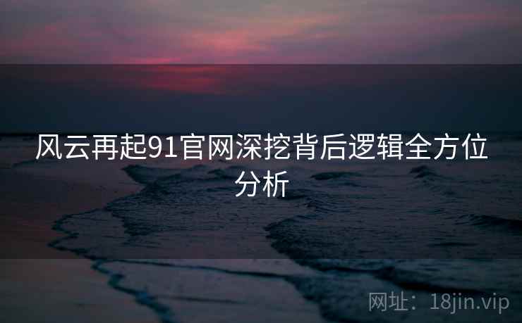 风云再起91官网深挖背后逻辑全方位分析