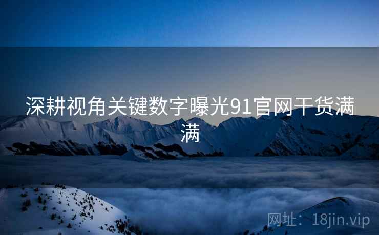 深耕视角关键数字曝光91官网干货满满