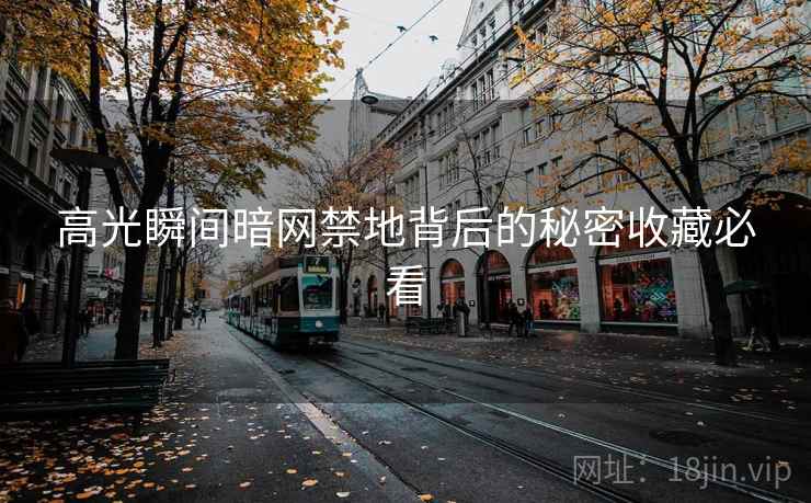 高光瞬间暗网禁地背后的秘密收藏必看
