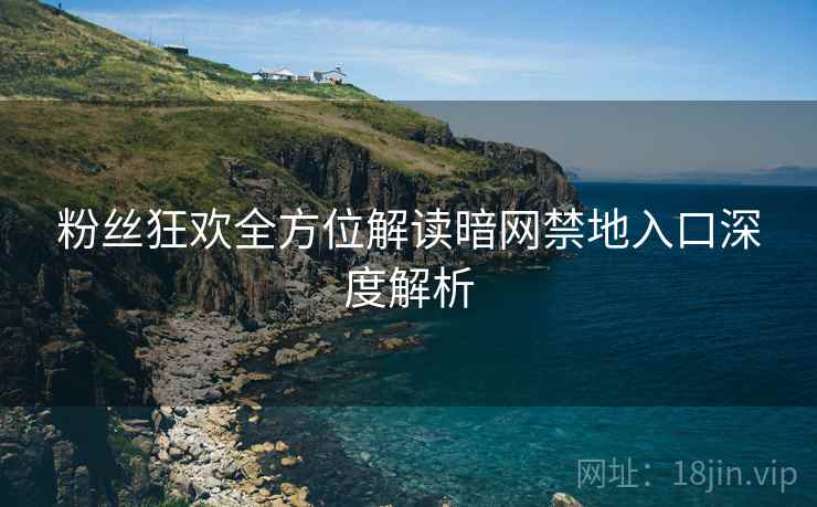 粉丝狂欢全方位解读暗网禁地入口深度解析