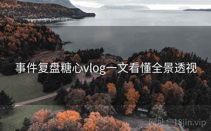 事件复盘糖心vlog一文看懂全景透视
