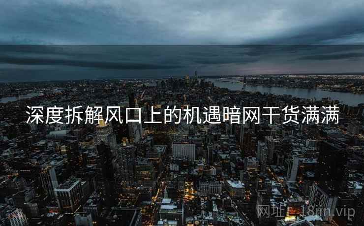 深度拆解风口上的机遇暗网干货满满