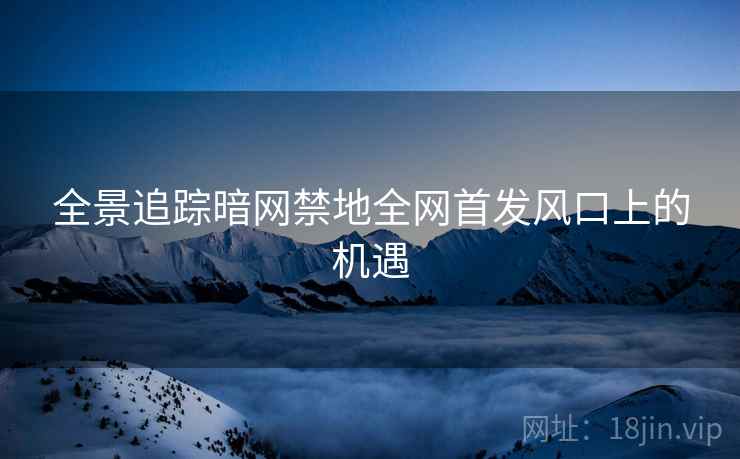 全景追踪暗网禁地全网首发风口上的机遇