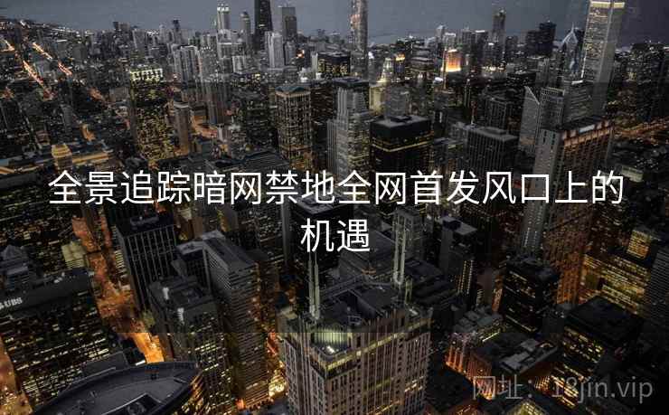 全景追踪暗网禁地全网首发风口上的机遇