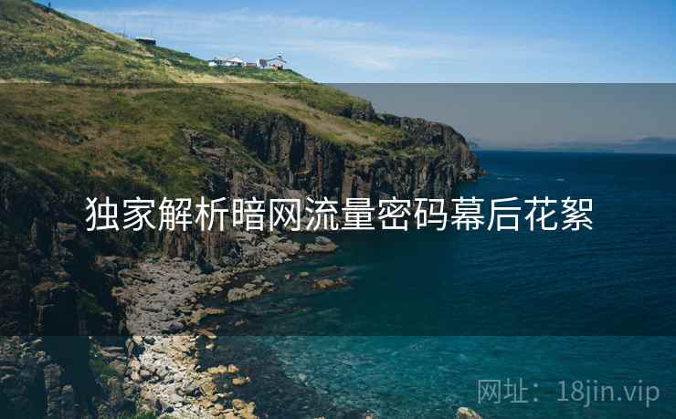 独家解析暗网流量密码幕后花絮