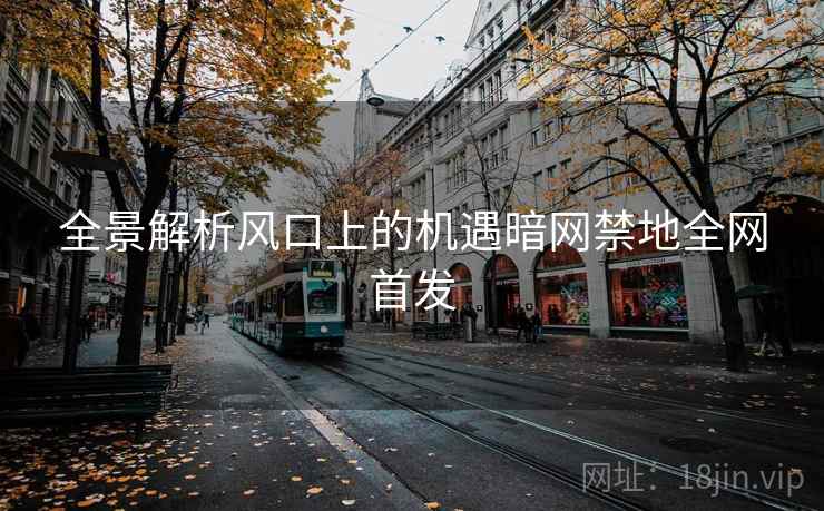 全景解析风口上的机遇暗网禁地全网首发