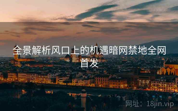 全景解析风口上的机遇暗网禁地全网首发