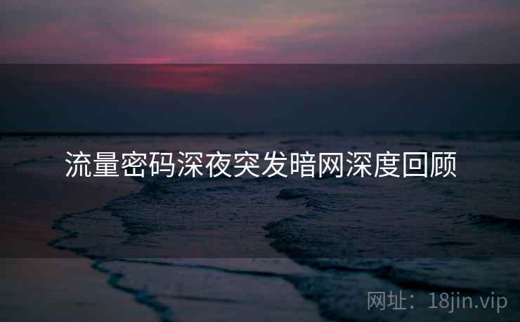 流量密码深夜突发暗网深度回顾